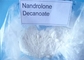 Deca Durabolin 익지않는 호르몬 분말 약제 Deca Nandrolone Decanoate CAS 360-70-3