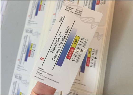 Nand Decanoate 유리제 작은 유리병 상표 정연한 모양 광택 있는 박판 표면