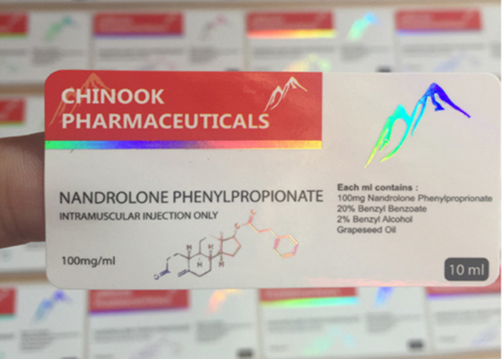 서류상 자필 주문 접착성 스티커 둥근 구석을 가진 6 x 3 Cm